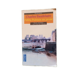 Petits poèmes en prose: Le spleen de Paris