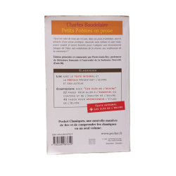 Petits poèmes en prose: Le spleen de Paris