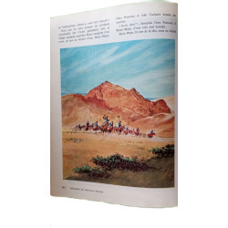 Le Monde enchante de Walt Disney : Histoires du nouvrau monde