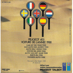 The Lion In The Desert