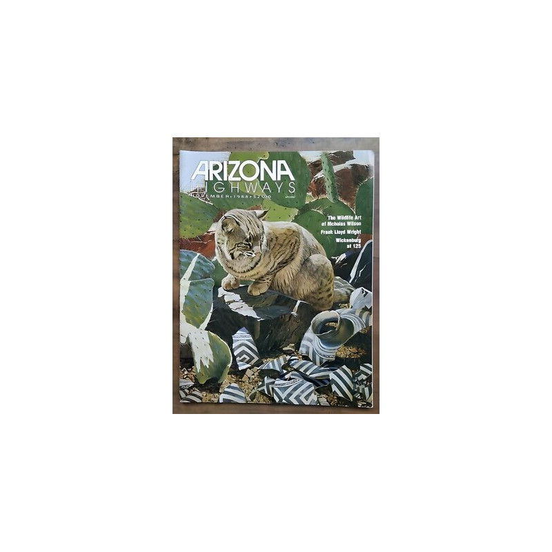 Arizona Highways November