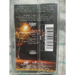 Vaya Con Dios Roots and Wings Cassette Audio-K7 NEUVE SOUS BLISTER