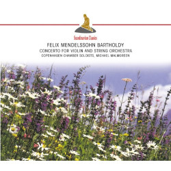 Concerto for Violin et String Orchestra in D Minor