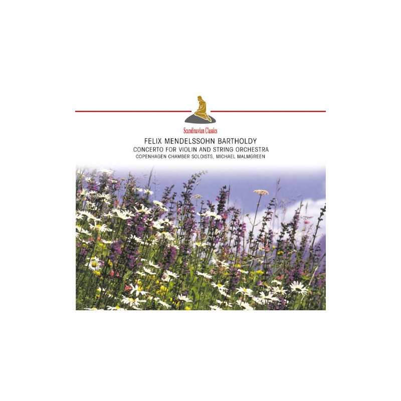 Concerto for Violin et String Orchestra in D Minor