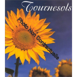 Les Tournesols