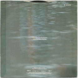 Every Time You Go Away