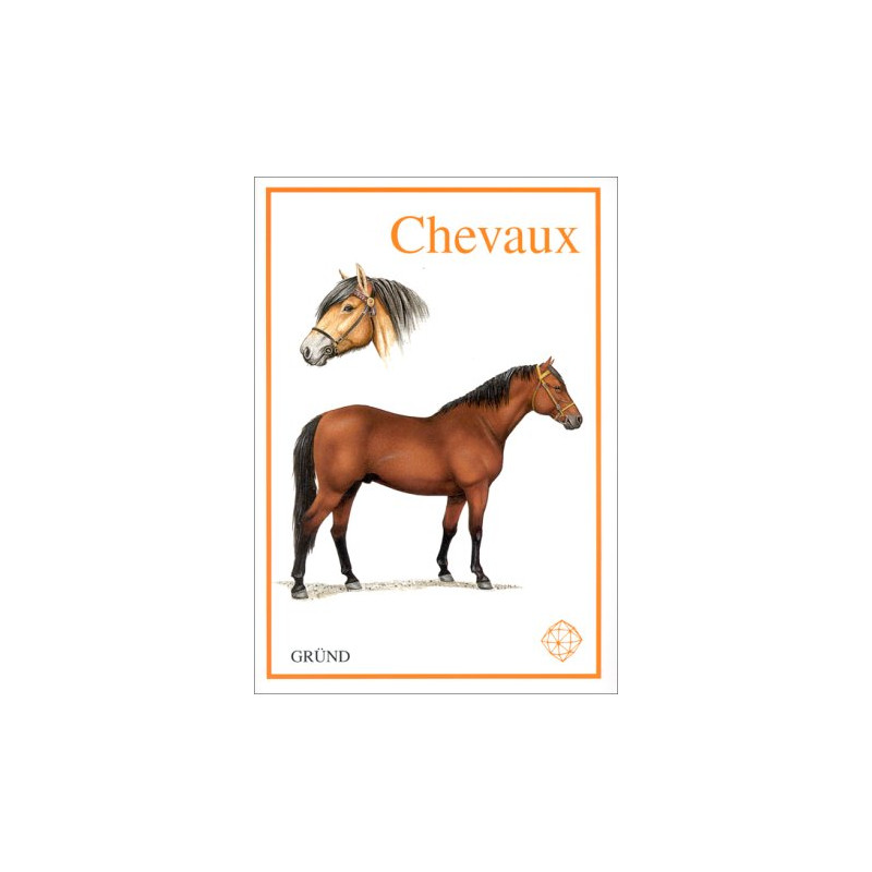 Les Chevaux