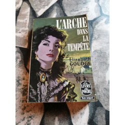 L'Arche dans la tempête