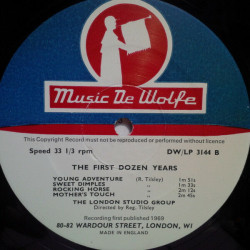 The First Dozen Years