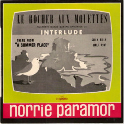 Le Rocher Aux Mouettes