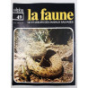 Revue Alpha pour tous - La faune n° 49