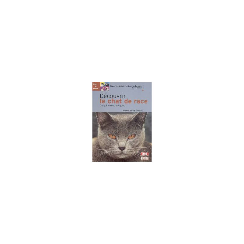 Découvrir le chat de race
