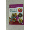 HDIDDANE ET SES EPOUSES