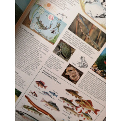 Atlas illustre la terre