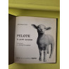 Pelote le petite mouton