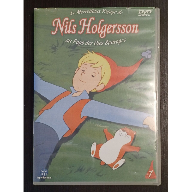 Le Merveilleux Voyage de Nils Holgersson au Pays des Oiseaux Sauvages