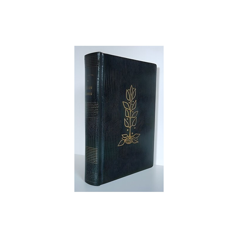 THERESE ETIENNE Club International Livre