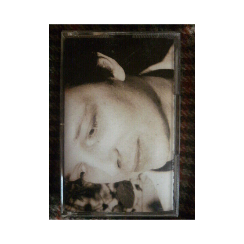 Peter Astor and the Holy Road Paradise Cassette Audio-K7...