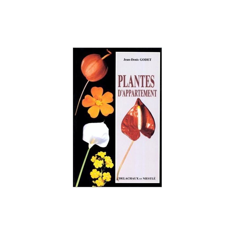PLANTES D'APPARTEMENT