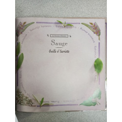 Sauge: Oseille et sarriette