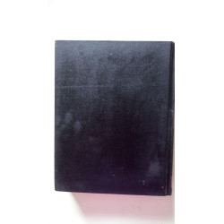 Standard Dictionary of the English Language - volume one