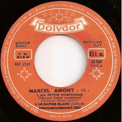 Ma Petite Symphonie The One Finger Symphony