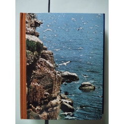 la vie fantastique des îles et des océans