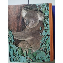 la vie fantastique des îles et des océans