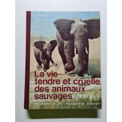 La vie tendre et cruelle des animaux sauvages