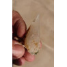 calcite Maroc QC1 38 grammes 53mmx24mm