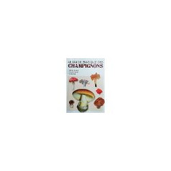 Le guide pratique des champignons