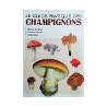 Le guide pratique des champignons