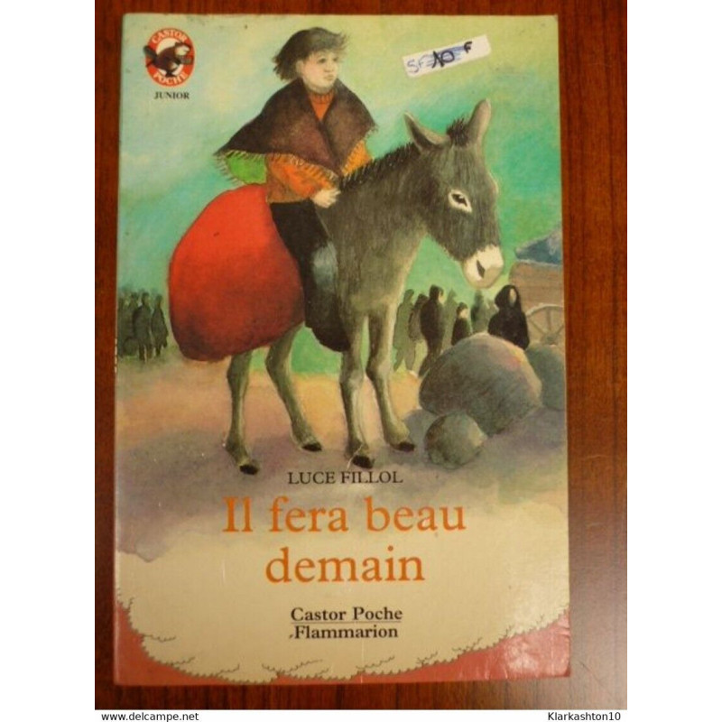 Il fera beau demain - Castor Poche