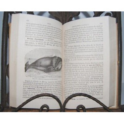 Pigeonneau GEOGRAPHIE PHYSIQUE POLITIQUE et ECONOMIQUE de...