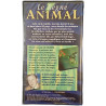 VHS - Le Règne Animal 1