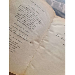 La mort du petit cheval