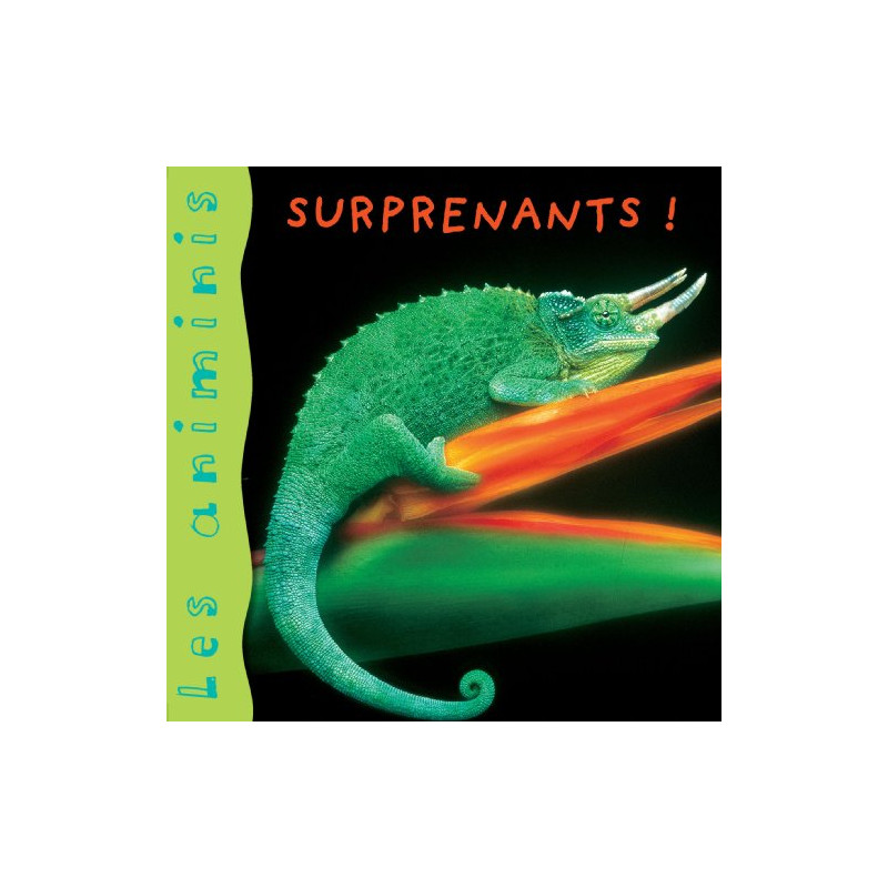 Les Animinis : Animaux surprenants