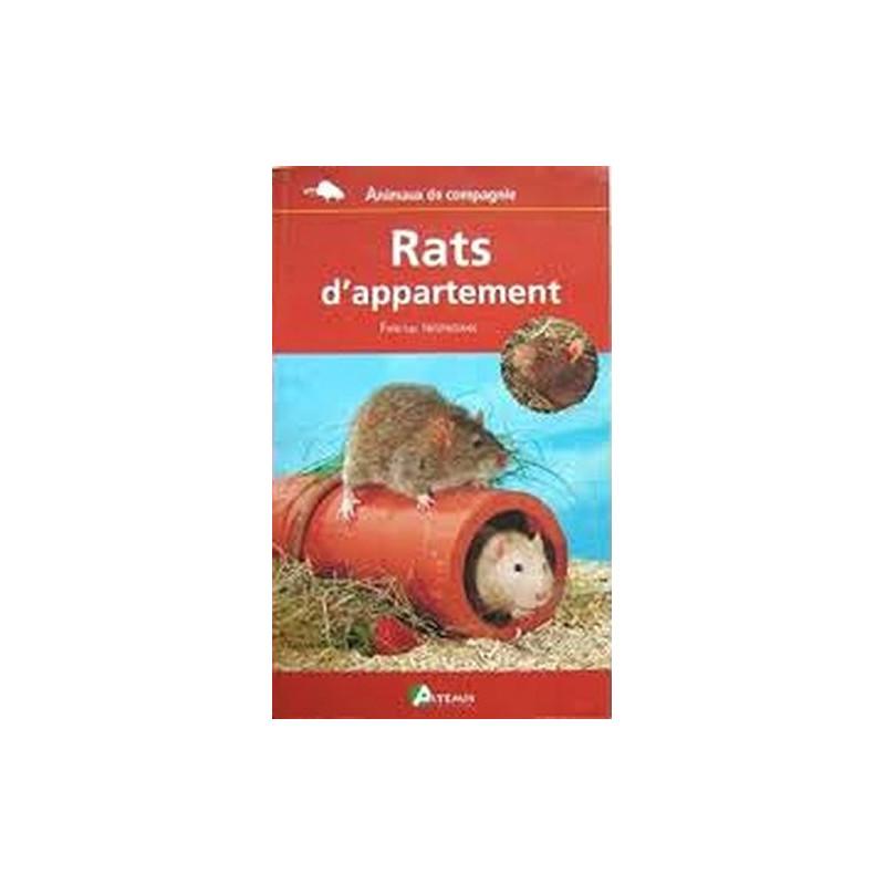 Rats d'appartement Rats d'appartement