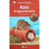 Rats d'appartement Rats d'appartement