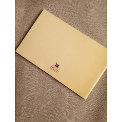 Petit Guide Des Oiseaux De France