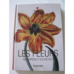 Les fleurs du jardin d'eichstatt