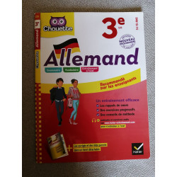 Allemand 3e - LV2 (niveau A2): cahier d'entraînement et de révision