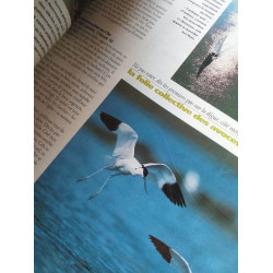 Terre Sauvage - Nº 116 Avril 1997