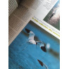 Terre Sauvage - Nº 116 Avril 1997