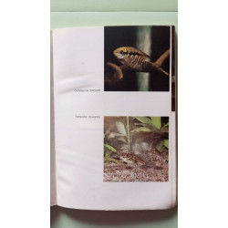 Votre aquarium et les poissons