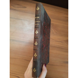 Grundriss der Theologischen Neutestamentliche Zeitgeschichte