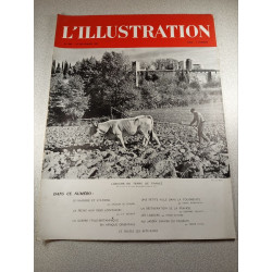 L'Illustration n°5090