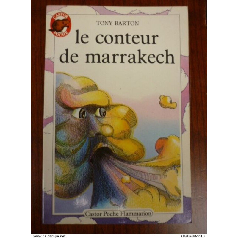Le conteur de Marrakech - Tony Barton Castor Poche