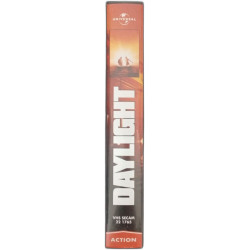 Stallone : daylight