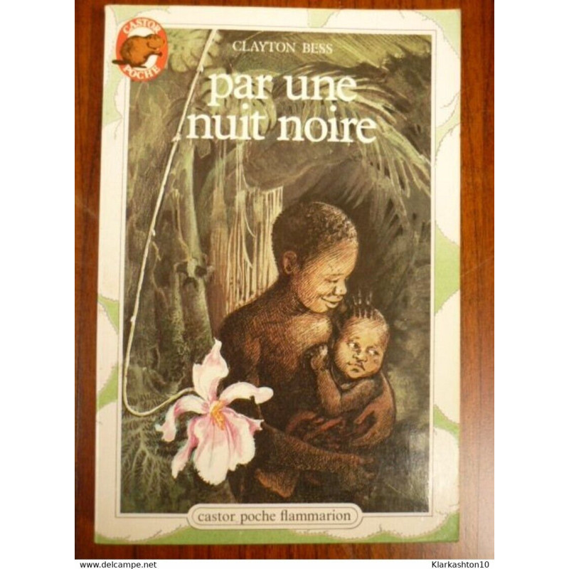 Par une nuit noire - Castor Poche